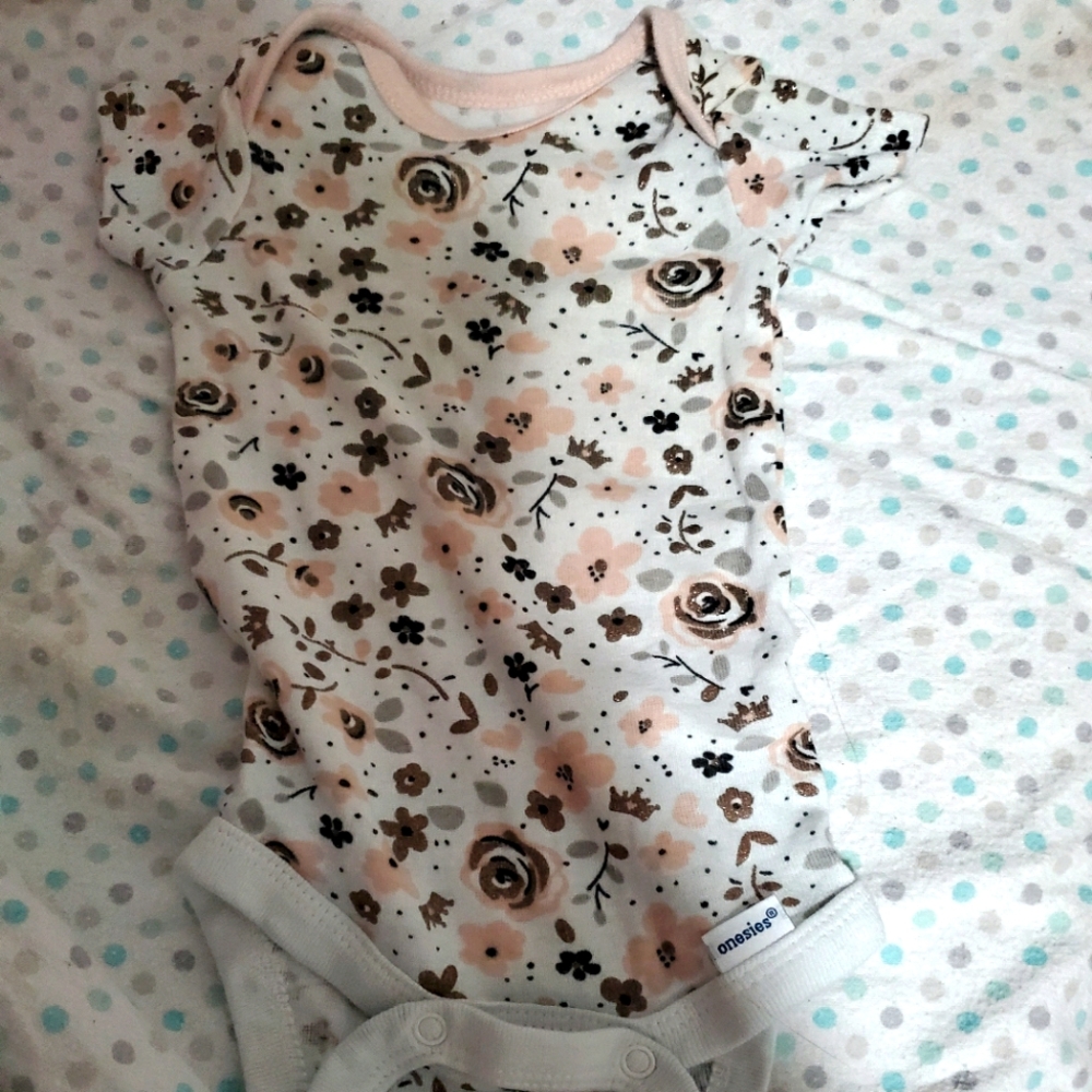 Gerber Organic Summer/ Fall 0/3 Month Girl Outfit